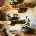 Live Edge Floating Shelf Wall Mount
