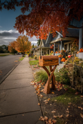 Handcrafted Wooden Sculpture Mailbox For Garden Furniture Accent